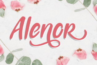 Alenor: A Designer’s Honest Review for Branding