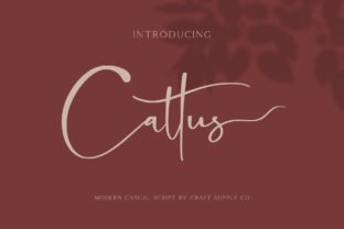 Cattus Font Review: Modern Script for Web Design