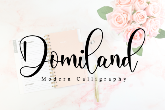 Domiland: A Script Font for Modern Campaigns
