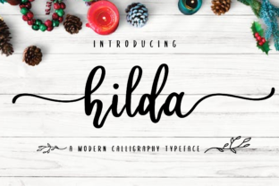 Hilda: A Designer’s Honest Review of Script Amp’s Latest Release