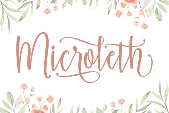 Microleth: A Script Font for Warm Brand Identity