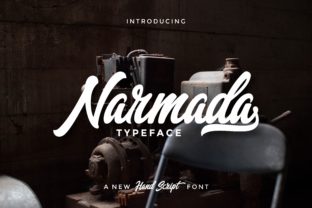 Narmada: A Modern Script Typeface for Branding