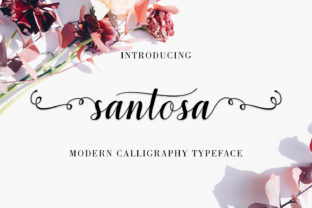 Santosa Font: A Web Designer’s Review